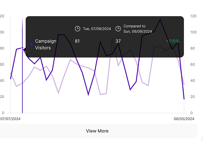 UTM Campaigns Some General Hints UTM Campaigns Some General Hints